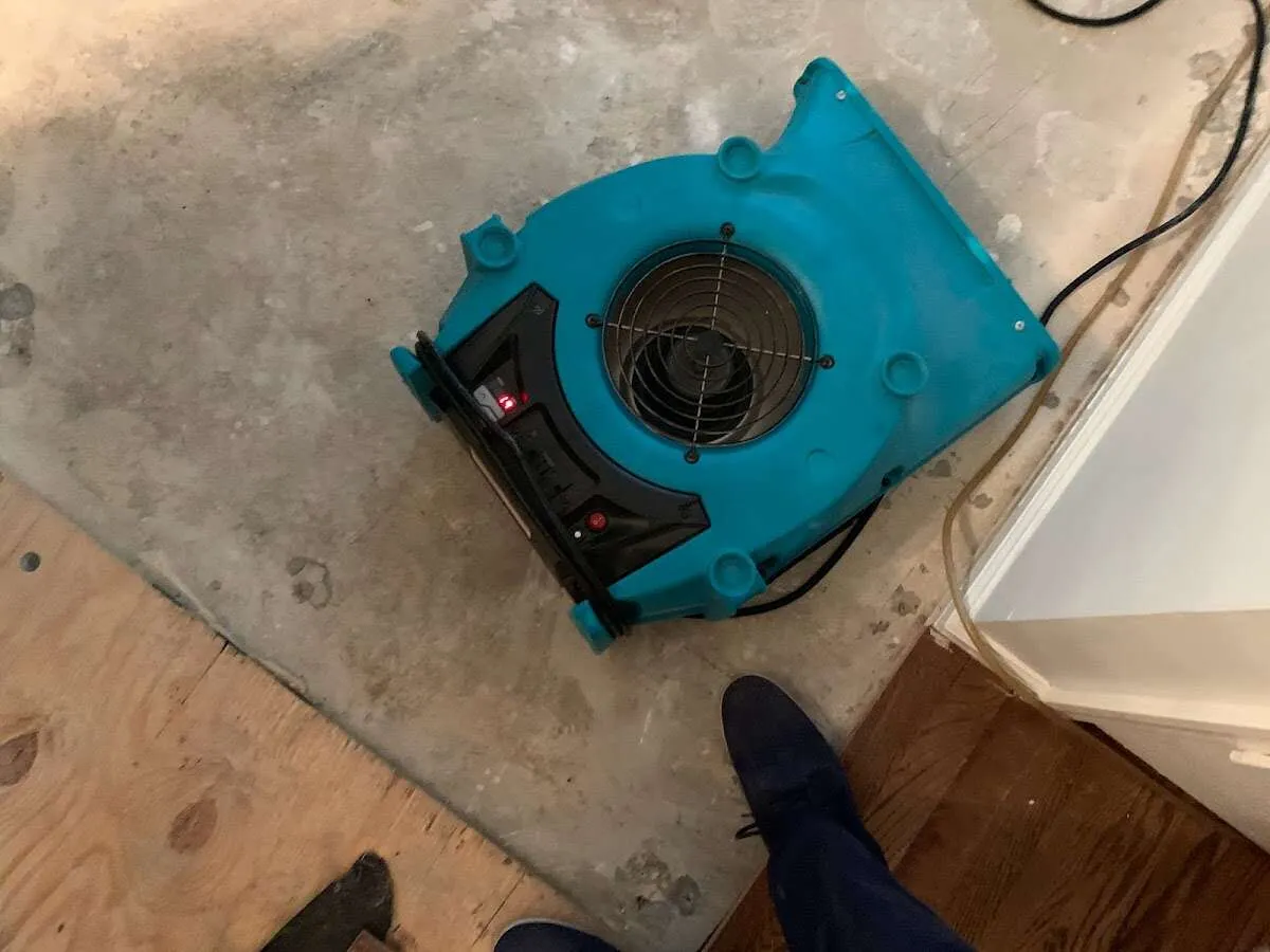 Air mover drying subfloor during Leak Detection & Repair in Sweet Home